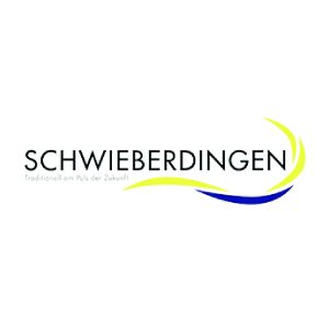 Logo der Freiwilligen Feuerwehr Schwieberdingen, Vereinsreferenz von mr. mac's party team