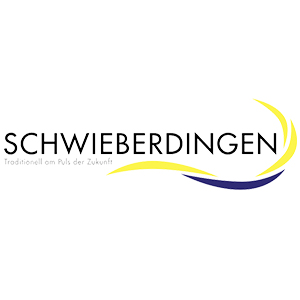 Logo aus Schwieberdingen, Vereinsfeier-Referenz von mr. mac's party team